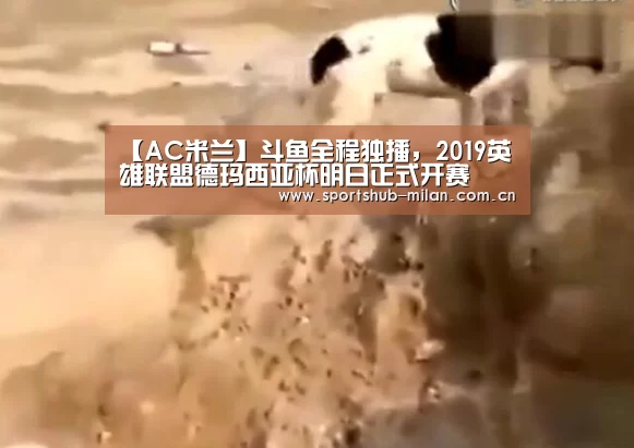 【AC米兰】斗鱼全程独播,2019英雄联盟德玛西亚杯明日正式开赛(图2) 米兰体育下载