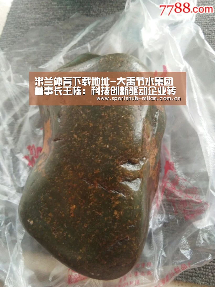 米兰体育下载地址-大禹节水集团董事长王栋:科技创新驱动企业转型升级(图2) AC米兰