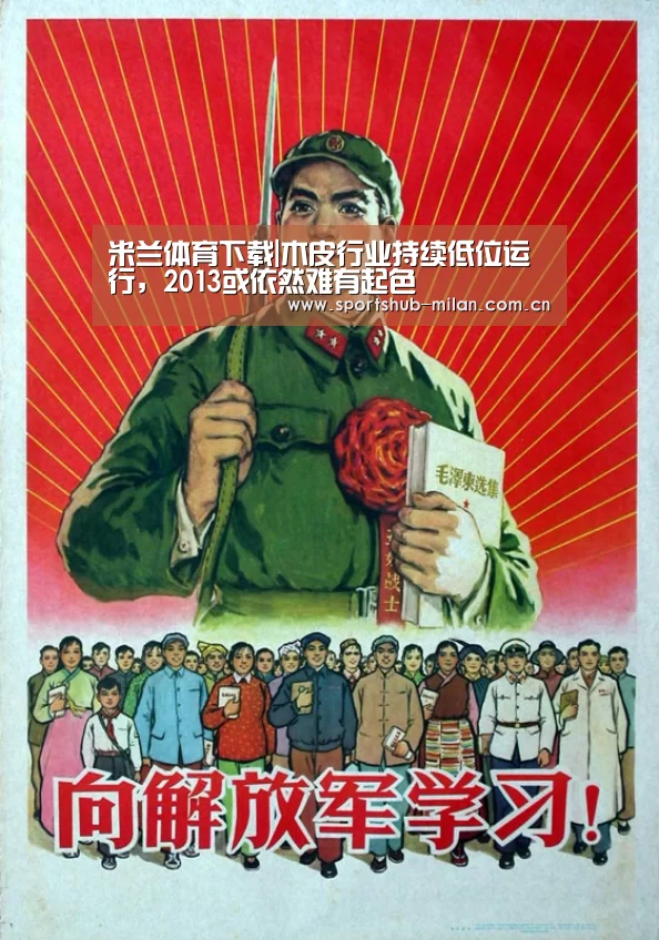 米兰体育下载|木皮行业持续低位运行,2013或依然难有起色(图1) 米兰体育网页版