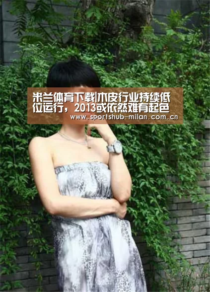 米兰体育下载|木皮行业持续低位运行,2013或依然难有起色(图2) 米兰体育下载
