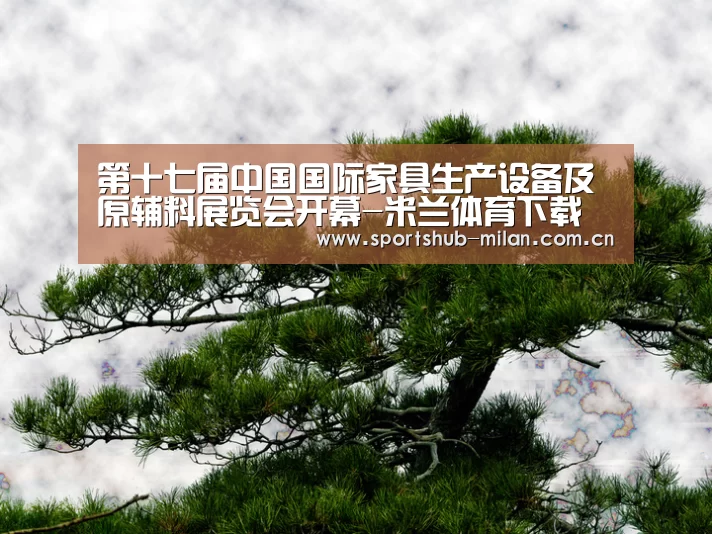 第十七届中国国际家具生产设备及原辅料展览会开幕-米兰体育下载(图2) AC米兰