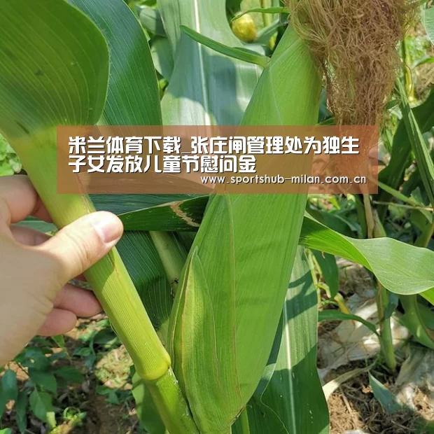 米兰体育下载_张庄闸管理处为独生子女发放儿童节慰问金(图2) AC米兰